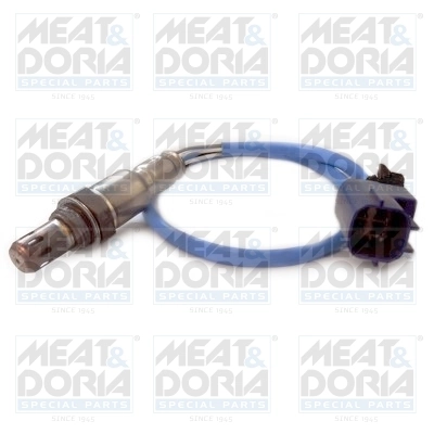 Oxygen Sensor